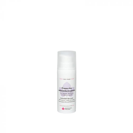 antioxidant day cream